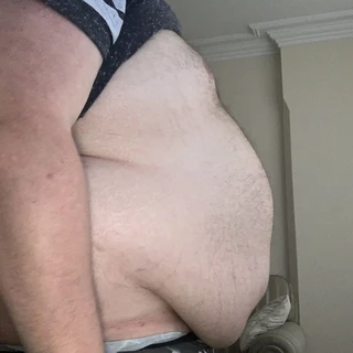 🐻