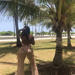 CocoaDéStallion