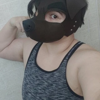 Some times a dog