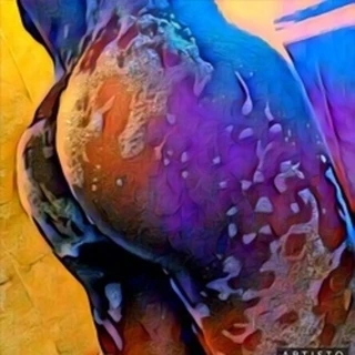 The #1 Stallion
