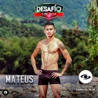 David Mateus