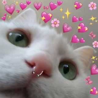 Detka🦇