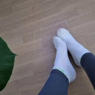 Dirty Socks Inc
