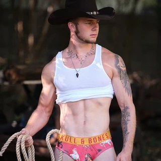 Dylan
