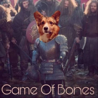 All the Doggos