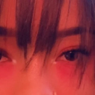 ドラコ 🐉