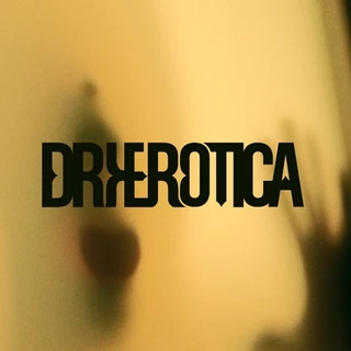 dryerotica