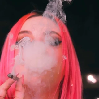 💖elevated evie💖