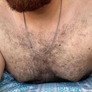 El oso Mike