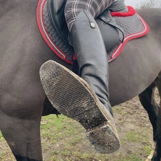 Equine Goddess K