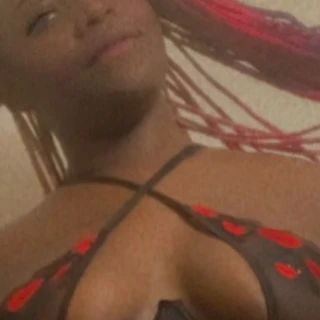 ExoticDaStallion