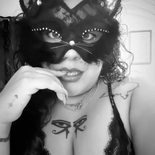 Exotic Kitty 🐱