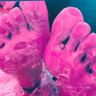 feetish 💋