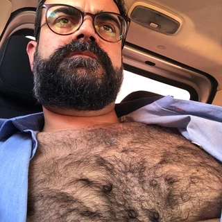 Bossy bear