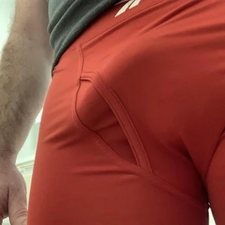 Fitofans