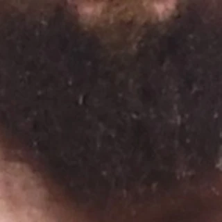 BeardedSin