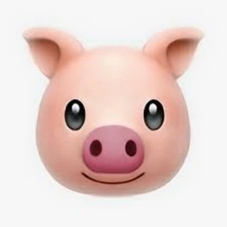 Giacomo 🍆