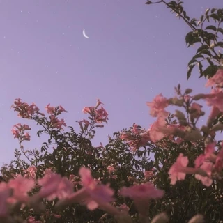 :)