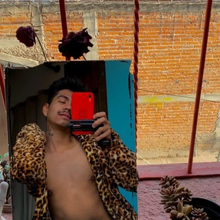 Bigotes