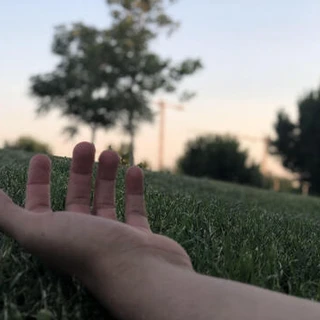 HairyLegPlay