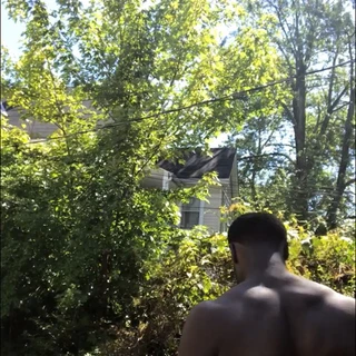1/ 2🦍1/2🐎