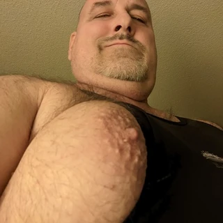 Hippotaur