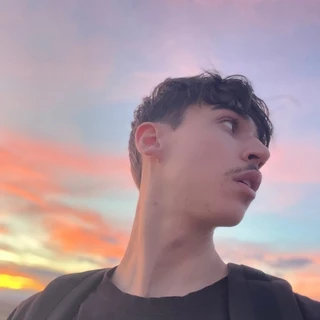 Hugoalgt