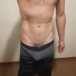 Hungstud
