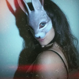 🍯🐇