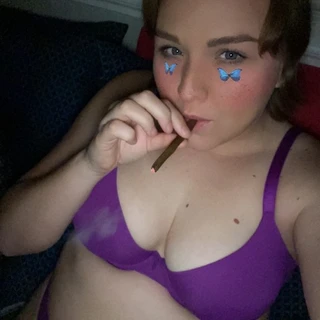 🐚 🐝