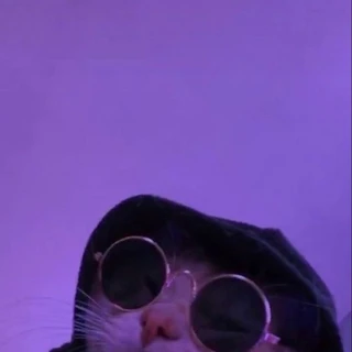 J🥀