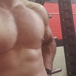 Logbear