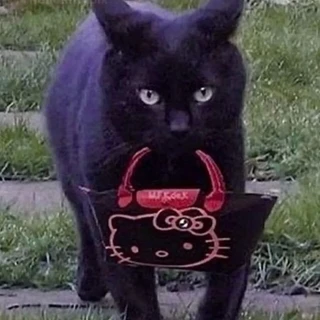 Blackkittycakes 🍑
