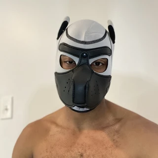 K9KruzerATL