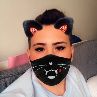 Kamy