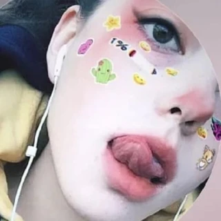 KITKVT 🦊
