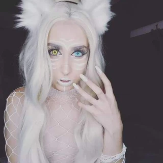 Kitten