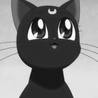 sabi ☆ﾐ