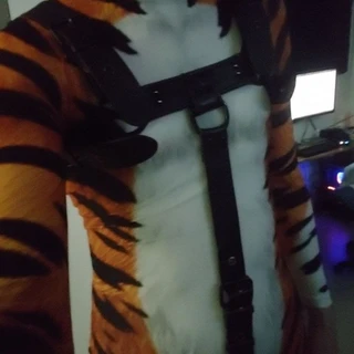 Tiger's den