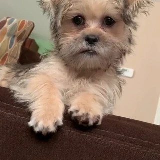 KoKo💋