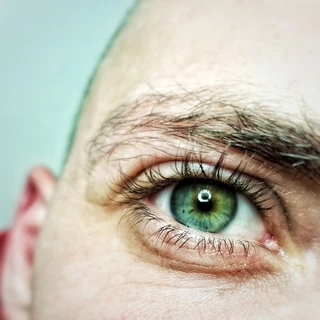 Krussshadow