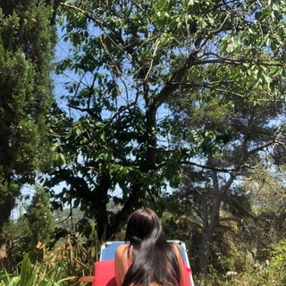 Lau🍑