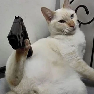 ℒ ★彡