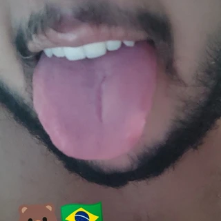 🇧🇷🐻 Brazilian Little Bear