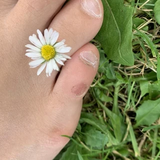 little bittle