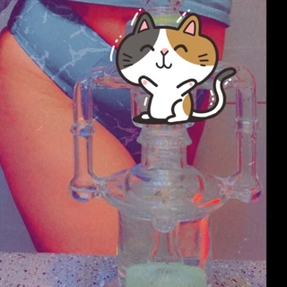 Kitty 👽
