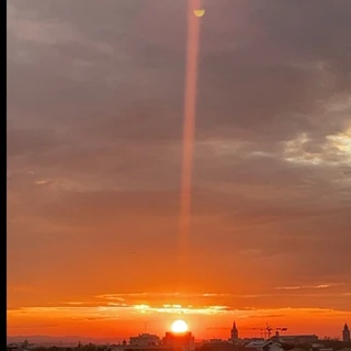 ✨