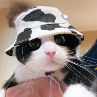 Sol