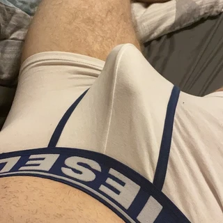 Louisboyli