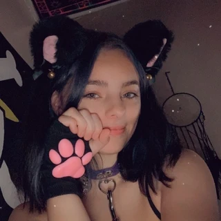 kitten😽🐾💕